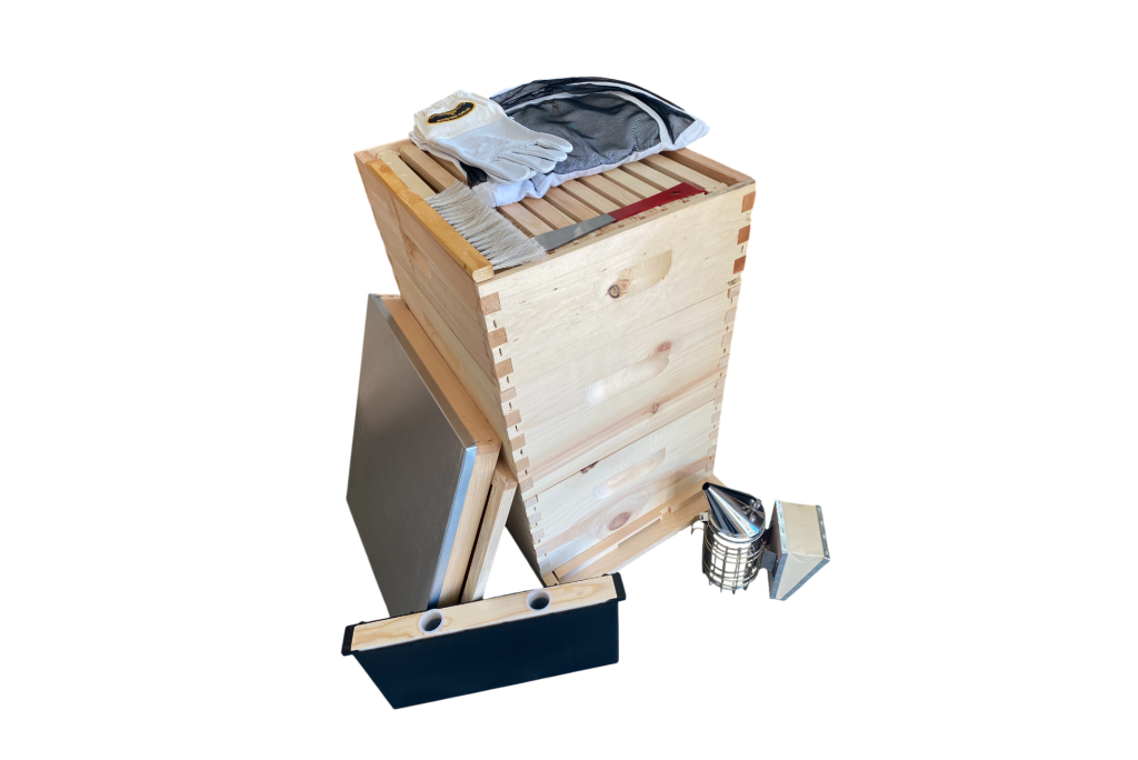 Kit de luxe pour débutant