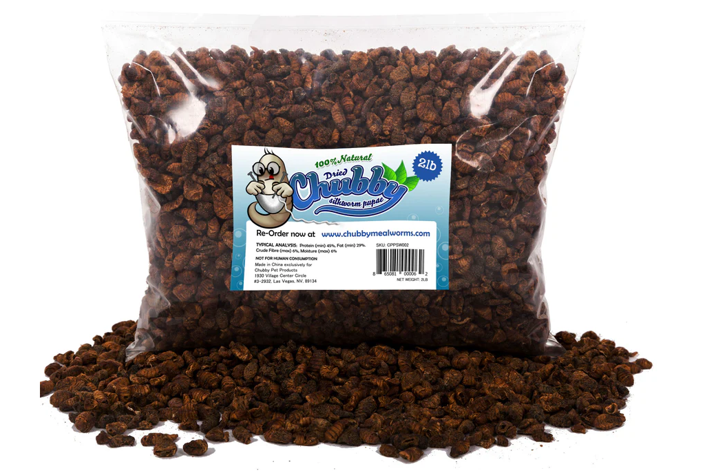 Chubby Dried Silkworm Pupae