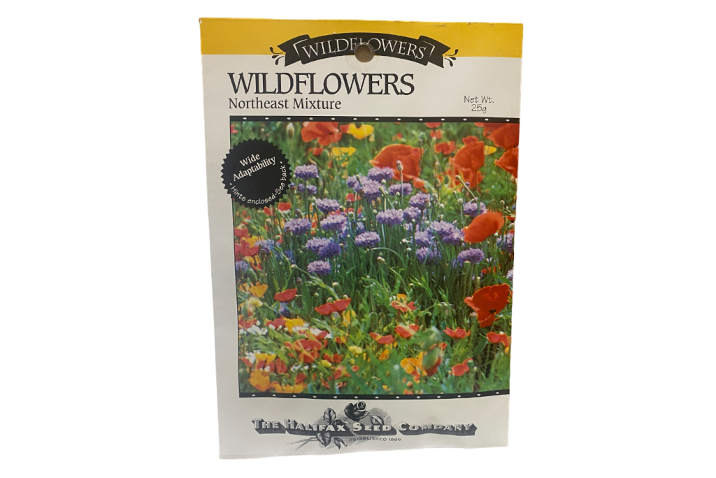 Mélange de graines de fleurs sauvages - Mélange du Nord-Est