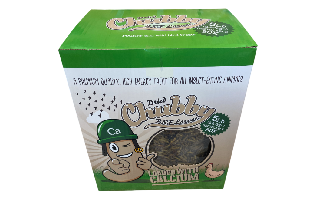 Larves de BSF séchées et potelées