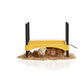 Éleveuse de poussins EcoGlow 600