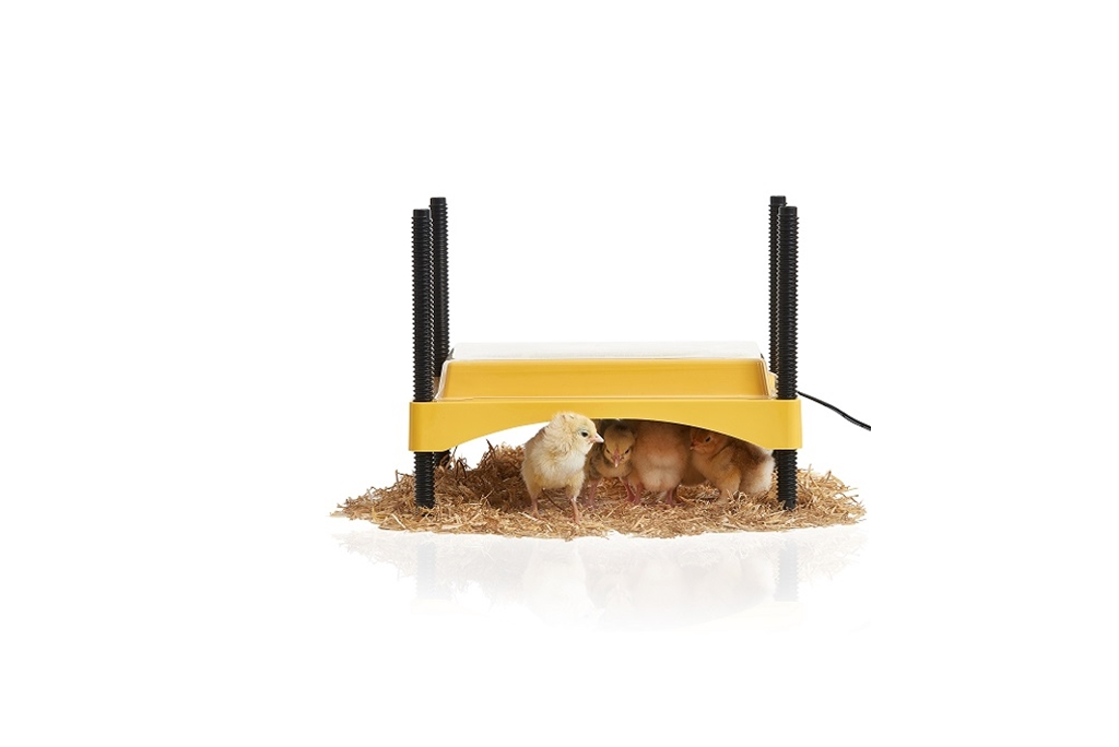 Éleveuse de poussins EcoGlow 600