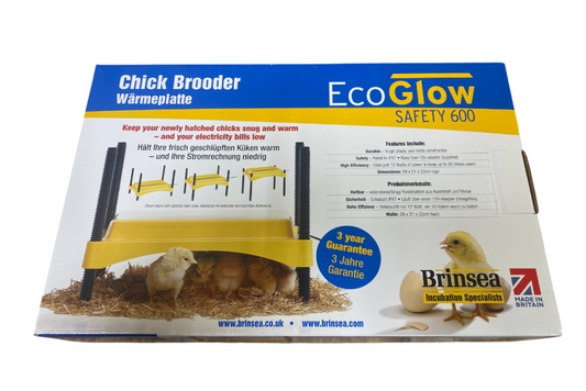 Éleveuse de poussins EcoGlow 600