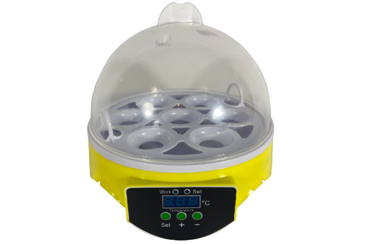 Mini incubateur d'œufs