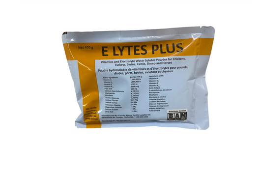 E Lytes Plus 400 g
