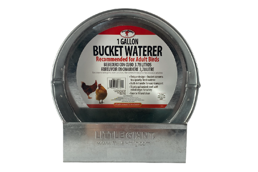 Abreuvoir galvanisé de 1 gallon