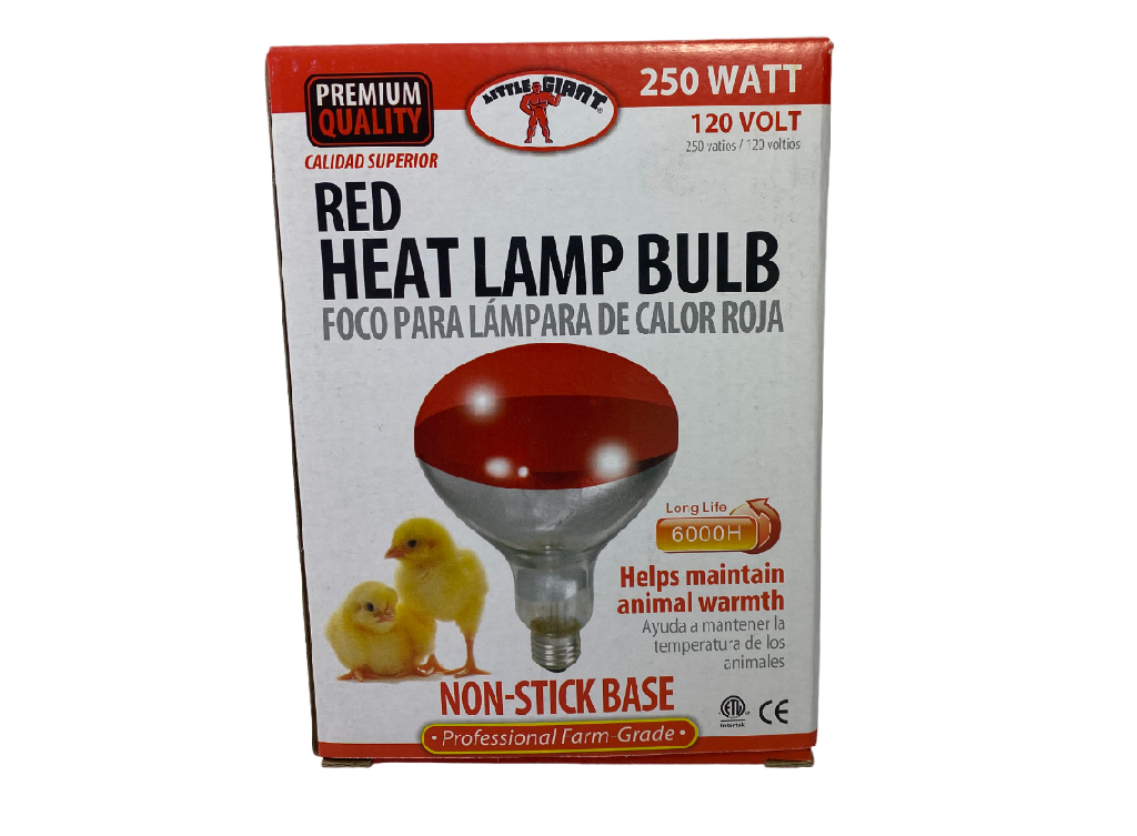 Ampoule de lampe pour couveuse