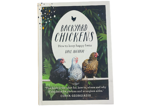 Poulets de basse-cour : comment les garder heureux ?