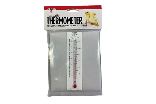 Thermomètre d'incubation