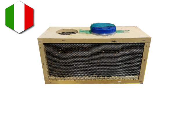 Forfaits Buckfast Bee italiens - 2025