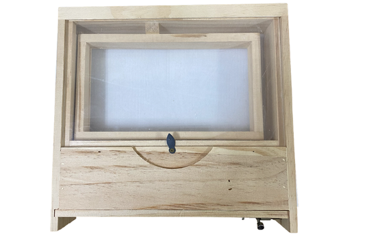 Mini ruche d'observation