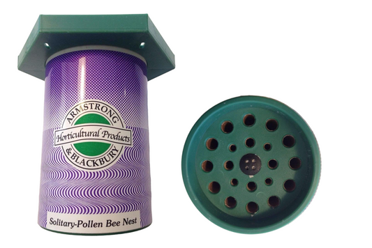 Nid d'abeille solitaire