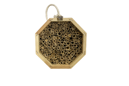 Maison des pollinisateurs