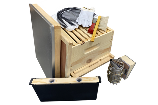 Kit débutant standard