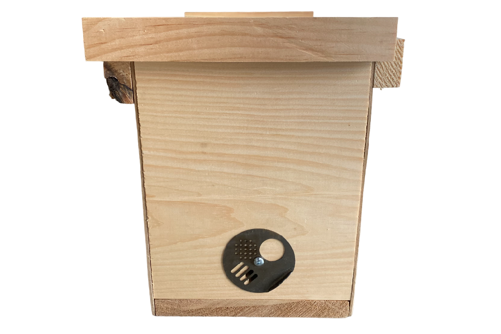 Boîte à noyaux en bois économique