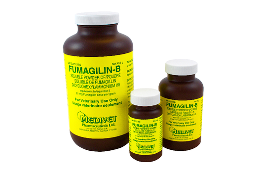 Fumagiline-B