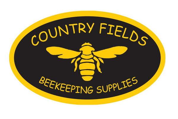 Cours pour débutants du 22 mars 2025